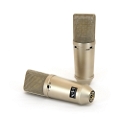 C1000-pair1